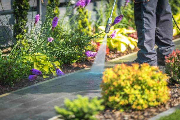 Trusted Adelanto, CA Pressure Washing Services Experts